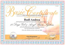 Basic Certificate